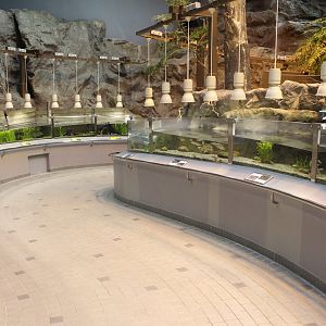 Inside the freshwater aquarium