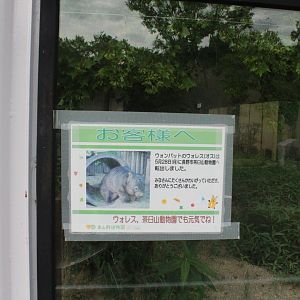Wombat sign