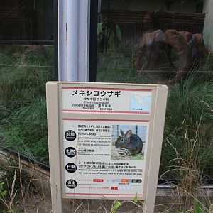Volcanic rabbit sign