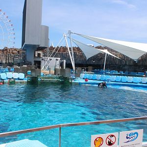 Tank for bottlenose dolphin