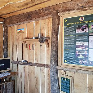 Education: Save the Tasmanian devil