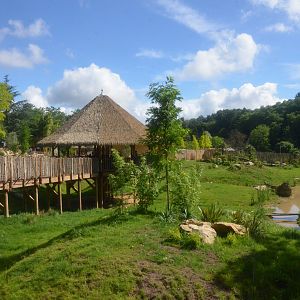 Cheetah Enclosure at Beauval, 12/06/18