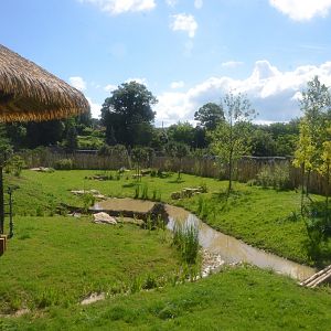 Cheetah Enclosure at Beauval, 12/06/18