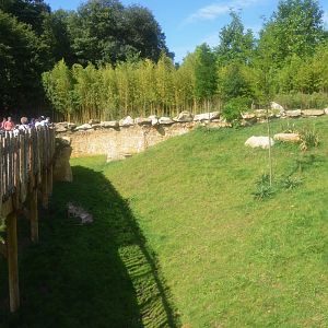 Cheetah Enclosure at Beauval, 12/06/18