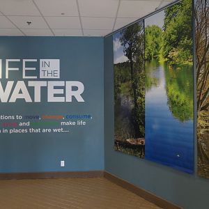 Wild Life Trek - Life in the Water - Interior