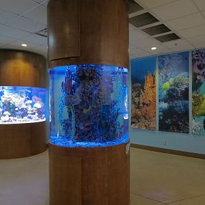 Wild Life Trek - Life in the Water - Aquarium Exhibits