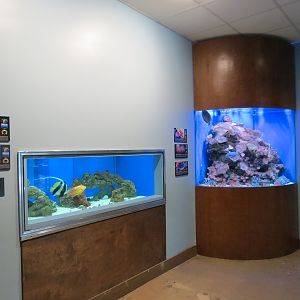 Wild Life Trek - Life in the Water - Aquarium Exhibits