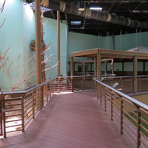 Wild Life Trek - Life in the Water - Walk-through Aviary Room
