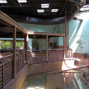 Wild Life Trek - Life in the Water - Walk-through Aviary Room