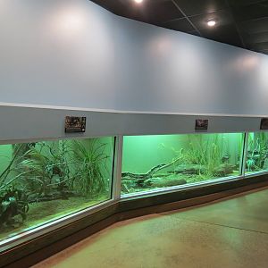 Wild Life Trek - Life In The Water - Reptile Exhibits