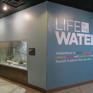 Wild Life Trek - Life In The Water - Interior