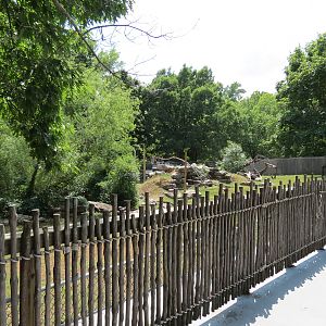 Wild Life Trek - Life In The Water - Bald Eagle Exhibit