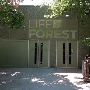 Wild Life Trek - Life In The Forest - Exterior