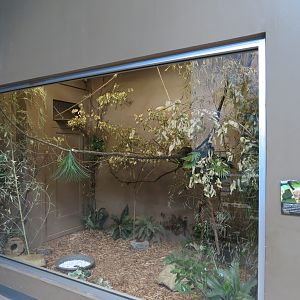 Wild Life Trek - Life In The Forest - Northern Treeshrew Exhibit