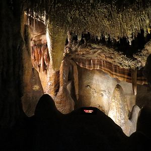 Wild Life Trek - Life in the Forest - Cave Exhibit