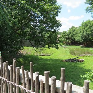 Wild Life Trek - Life in the Forest - White-tailed Deer Exhibit