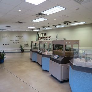 Wild Life Trek - Life in the Desert - Invertebrate Exhibits