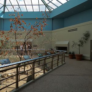 Wild Life Trek - Life in the Desert - Walk-through Aviary Room