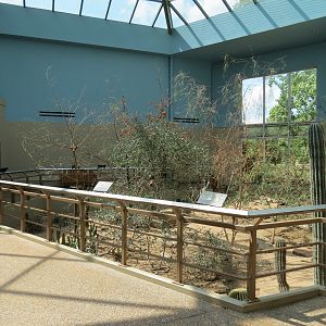Wild Life Trek - Life in the Desert - Walk-through Aviary Room