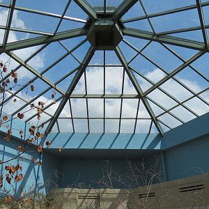 Wild Life Trek - Life in the Desert - Walk-through Aviary Room