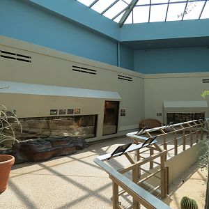 Wild Life Trek - Life in the Desert - Walk-through Aviary Room