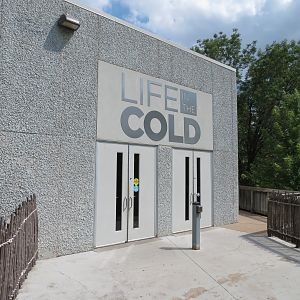 Wild Life Trek - Life in the Cold - Exterior