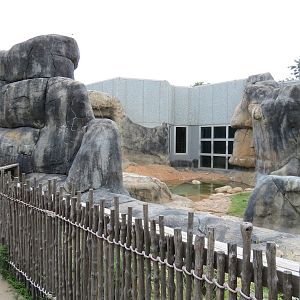 Wild Life Trek - Life in the Cold - Grizzly Bear Exhibit
