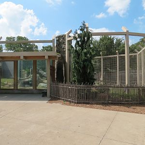 Wild Life Trek - Life in the Cold - Grizzly Bear Exhibit