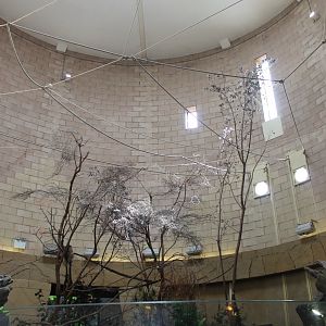 Spirit of the Jaguar - Sloth enclosure