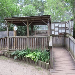 American Alligator Exhibit - Viewing Deck