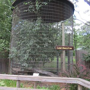 Burmese Python - in a corn crib cage!