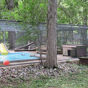 North American River Otter Exhibit