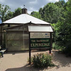 The Rainforest Experience