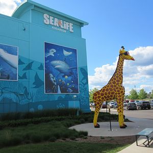 Aquarium Exterior + LEGO Giraffe