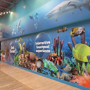 Aquarium Exterior (inside shopping mall)