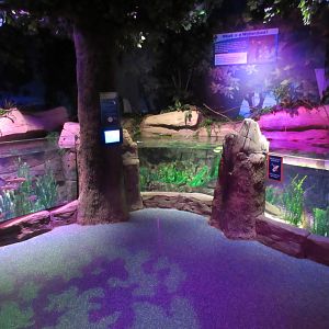 Michigan Stream Exhibit