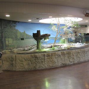 Turtle Exhibit