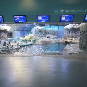 Polk Penguin Conservation Center