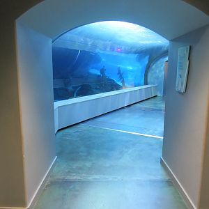 Polk Penguin Conservation Center