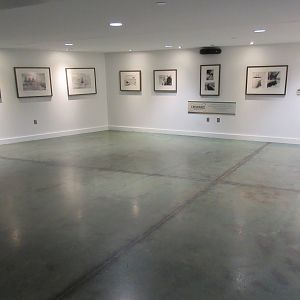Polk Penguin Conservation Center - Art Gallery