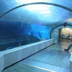 Polk Penguin Conservation Center