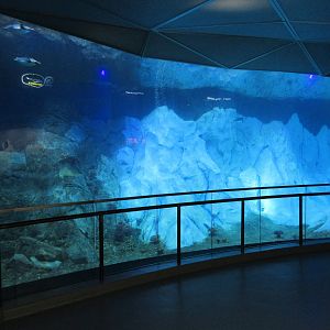 25-Foot Deep Pool (Penguin Conservation Center)