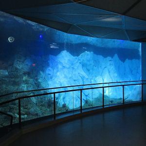 Polk Penguin Conservation Center