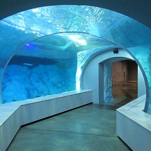 Polk Penguin Conservation Center