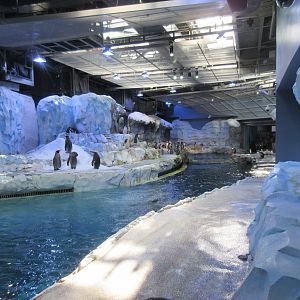 Polk Penguin Conservation Center