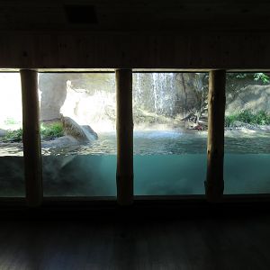 North American River Otter Exhibit