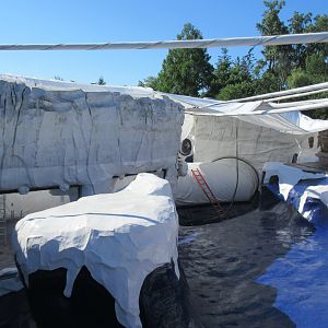 Arctic Ring of Life - Closed Tunnel + Seal Pool