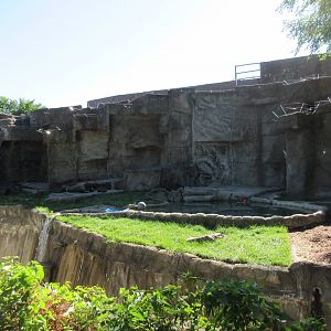 2nd Grizzly Bear Exhibit