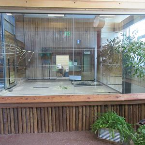 Giraffe Barn Stall - #1 of 4