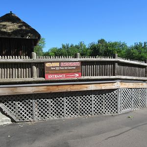 Giraffe Feeding Platform